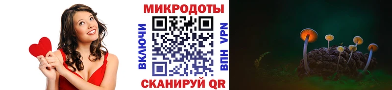 купить наркоту Кохма мега ССЫЛКА Галлюциногенные грибы Cubensis